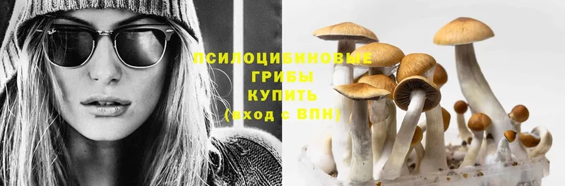 Псилоцибиновые грибы Psilocybe  ссылка на мегу вход  Астрахань 